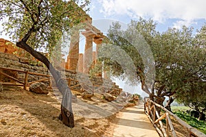 The path and trees below the Temple of Juno Tempio di Giunone - Hera Lacinia in Valley of the Temples Valle dei Templi photo