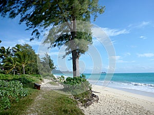 Path, trees, and bench along Waimanalo Beach photo