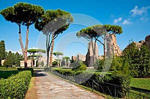 Path and trees from Caracalla springs at Rome photo