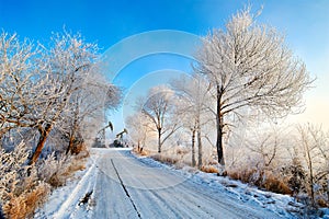 The path and trees with soft rime