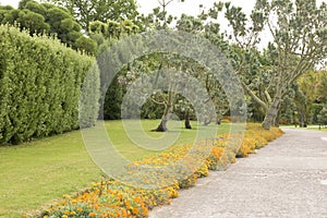 Path in Tresco, Scilly Islands