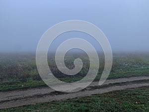 The path is trodden by people. Morning nature in foggy weather. Field with fog early in the morning