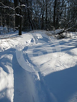 Path trodden in white snow in a winter park