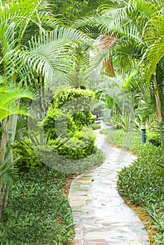 Path in tropical garden