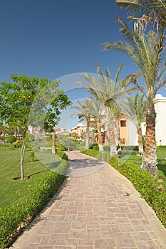 Path through tropical gardens