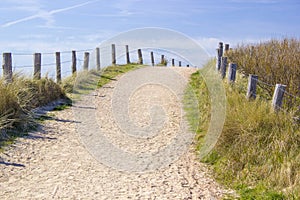 Path trough the dunes, Zoutelande photo