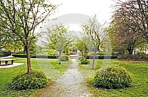 Path trough a park between meadows