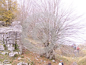 path trough rocks and mountain path in Zagoria Ioannina Greece