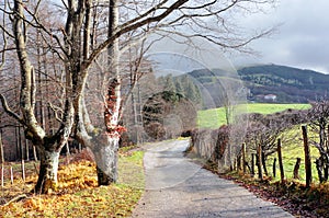 Path in Urkiola Natural Park