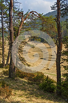 Path through valley at Rhodope mountain