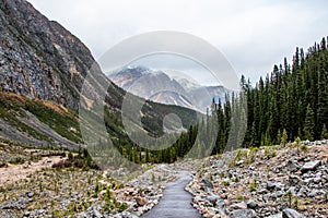 Path with view of the mountains at Mount Edith Cavell