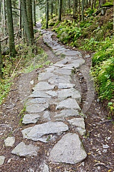 path in Vysoke Tatry (High Tatras), Slovakia