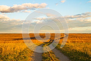 Path on Wah`Kon-Tah Prairie