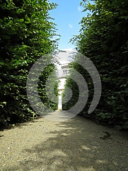 Path Walk in Maze Garden Labyrinth Bushes