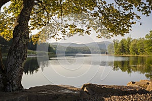 The Path by the Water
