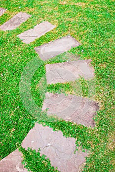 Rock path way decorative on green grass