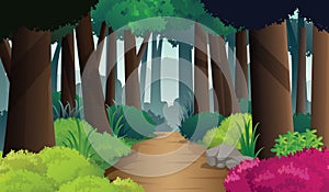 Path way on dense forest, vector illustration