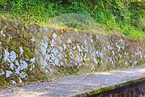 Path way with green moss on stone wall background