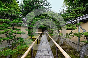 Stone pathway of Japanese garden at temple, Kyoto Japan