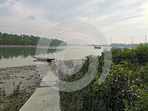 The beautiful path in the middle of mangrove forest.