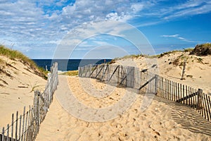 Path way to the beach at Cape Cod photo
