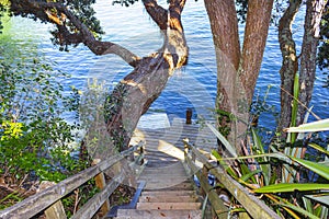 Path Way to Secret Cove, Stanley Point, Devonport, Auckland New Zealand