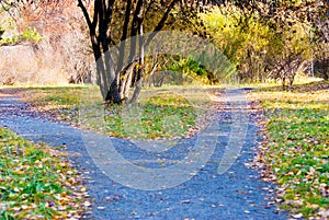 Path way with two direction, life choice concept photo