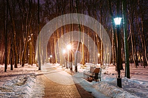 Path, Way In Winter Park In Light Of Lanterns At Evening. Night.