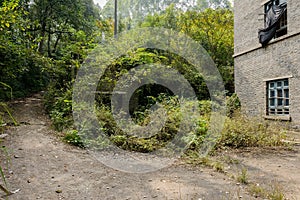 Path in weeds outside abandoned 1960s` building