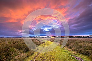 Path through Wild natural landscape under amazing sky