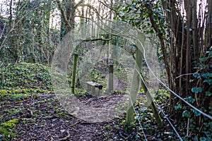 Path through woodland with an old stile over a fence