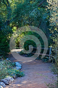 Path Through the Woods