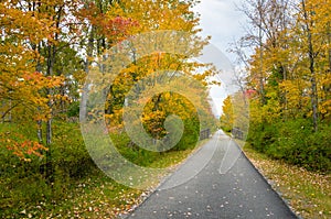 Path Through the Woods in Autumn