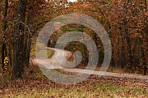 A path through the woods in fall