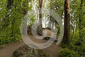 path in the woods, the Park, among the big stones and trees, rain