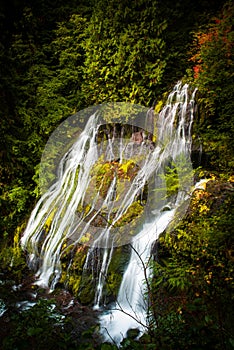 Pather creek falls in washington state