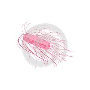 Pathogen flagellum bacteria microorganism