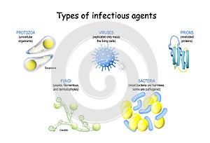 Pathogen. infection from prions and viruses, to bacteria, fungi and unicellular organism photo