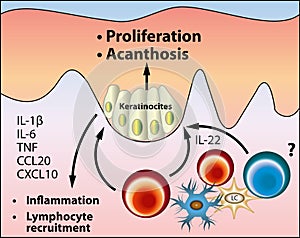 The pathogenesis of acanthosis nigricans vector scheme