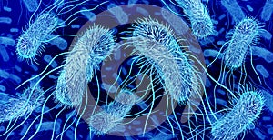 Pathogenic E Coli Bacteria