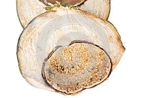 .Pathogens in coconut meat