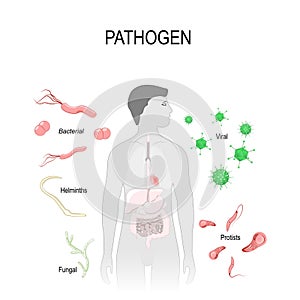 Pathogens: virus, bacteria, fungus, helminths and Protists. photo