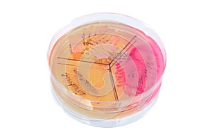 Pathological bacteria