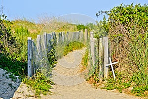 Paths along the beach