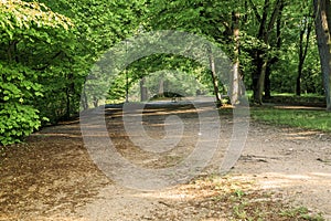 Paths Bois de Vincennes in Paris