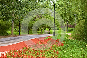 Paths in Chaoyang park, Beijing photo