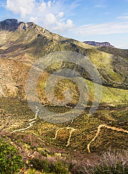 Paths on Huachuca mountains photo