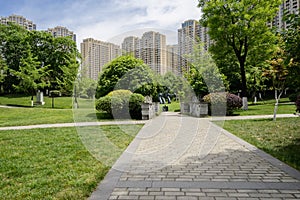 Paths in lawn before storied apartments at sunny summer noon