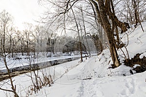 Paths running along the bank of the river flowing through the winter forest in front of the sunset