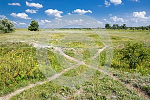 Paths in the steppe